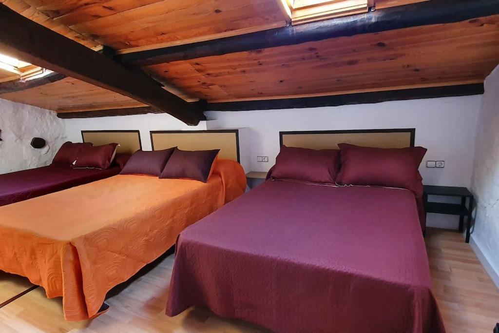 Cal Curpets - Bicicletas Free Villa Puigvert de Agramunt ภายนอก รูปภาพ